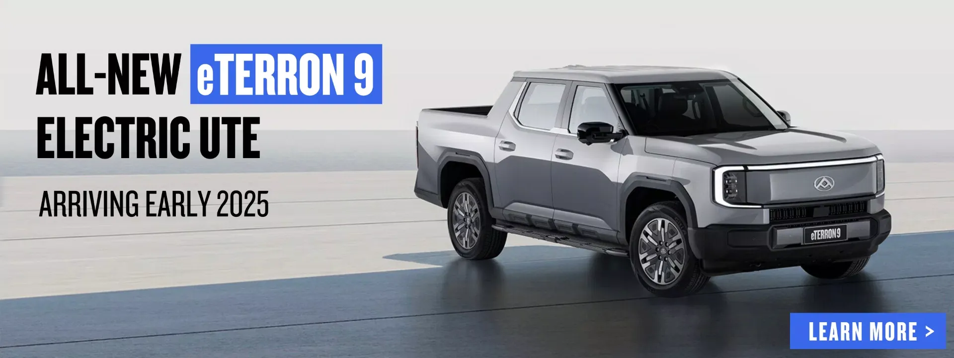 LDV eTerron 9